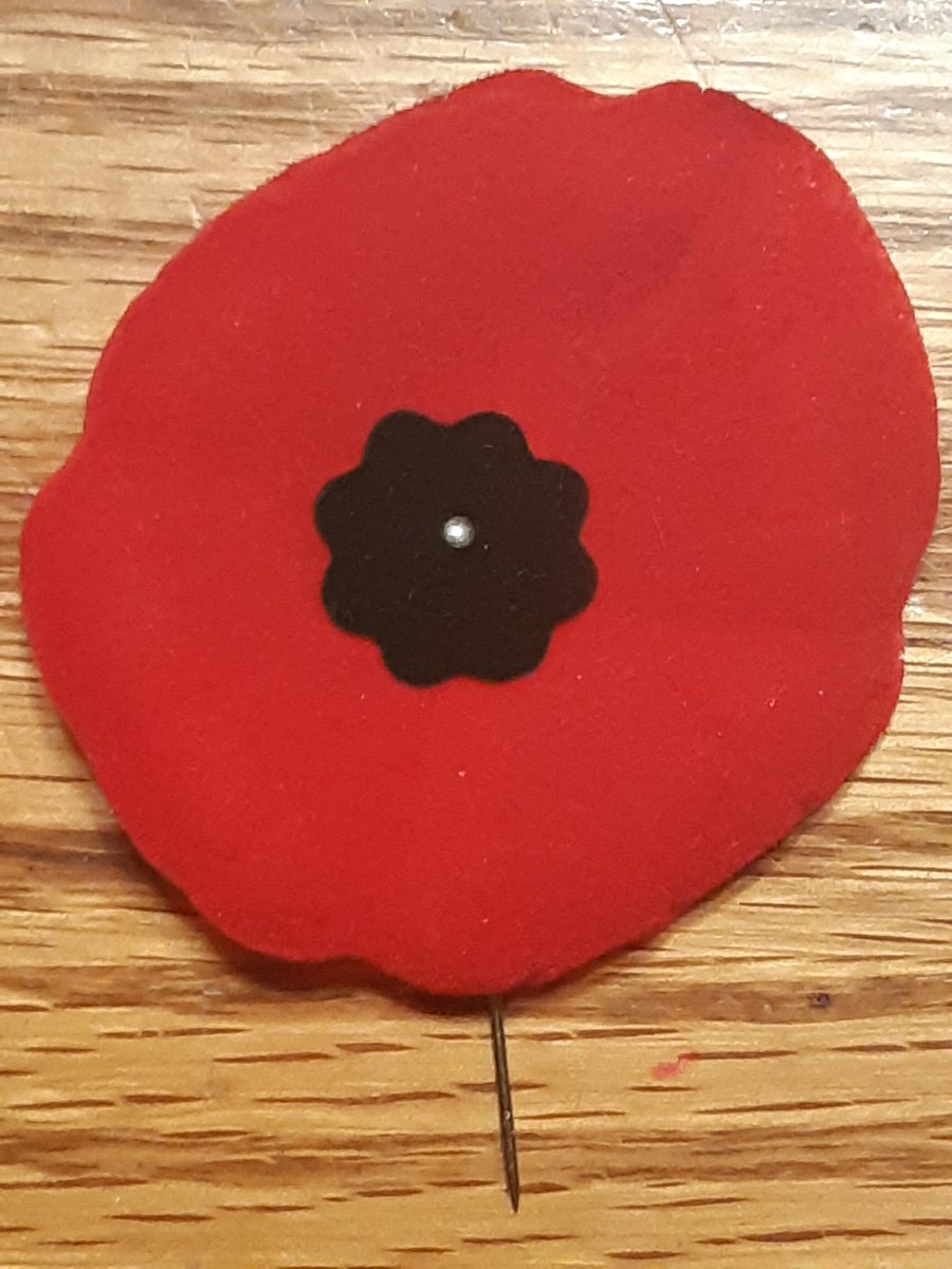 Honoured to represent @PtboCounty at today's #RemembranceDay ceremony in <a href="/CityPtbo/">City of Peterborough</a> and to lay a wreath. We must never forget. <a href="/SelwynTownship/">SelwynTownship</a> <a href="/Ptbohealth/">Peterborough Public Health</a> <a href="/OtonabeeC/">Otonabee Conservation</a> <a href="/RoyalCdnLegion/">The Royal Canadian Legion</a>