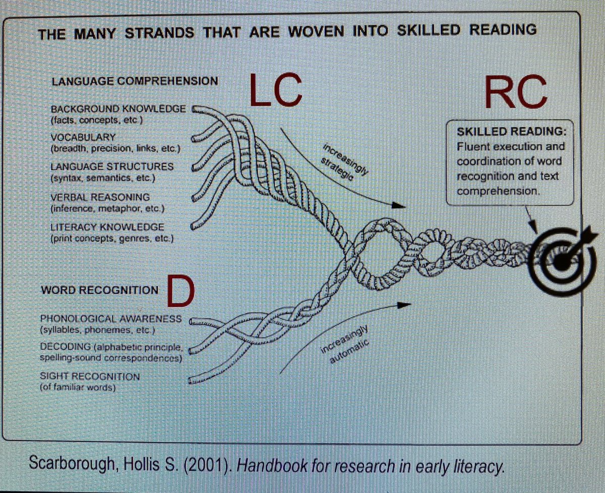 Dr_MCarlson's tweet photo. Great training on The Science of Reading and The Science of Math and MTSS and Equity by @amandavande1 and @janhasbrouck at #EquityIsMTSS Conference! @pattanupdates @PaPBSNetwork https://t.co/ZYUysaIMqE