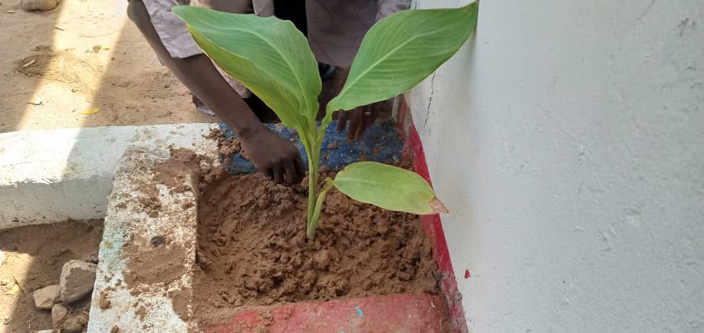 QuartierVert's tweet photo. #QuartierVertChallenge
Et si nous nous engageons à #reverdir #nos #Quartiers ?
A Zinder au Niger 🇳🇪 Idrissou
s’ engage . https://t.co/BkkQTRd5tA