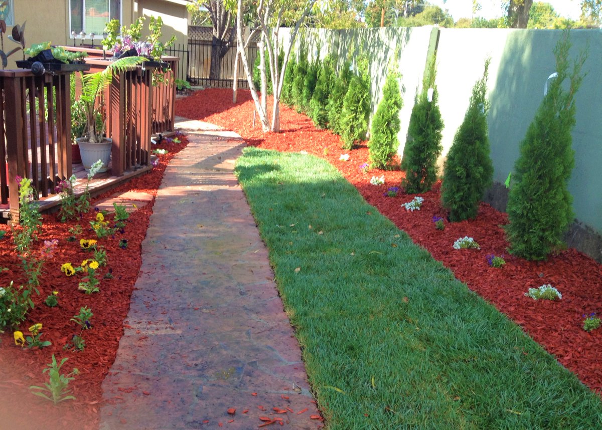 ArborTech1's tweet image. There are several things that can go wrong when having tree care services, landscape services, or hardscape construction done. Go with the professionals here at ArborTech Tree Care arbortech1.net/contact #TreePestControl #PestControlHayward #LandscapeConstruction