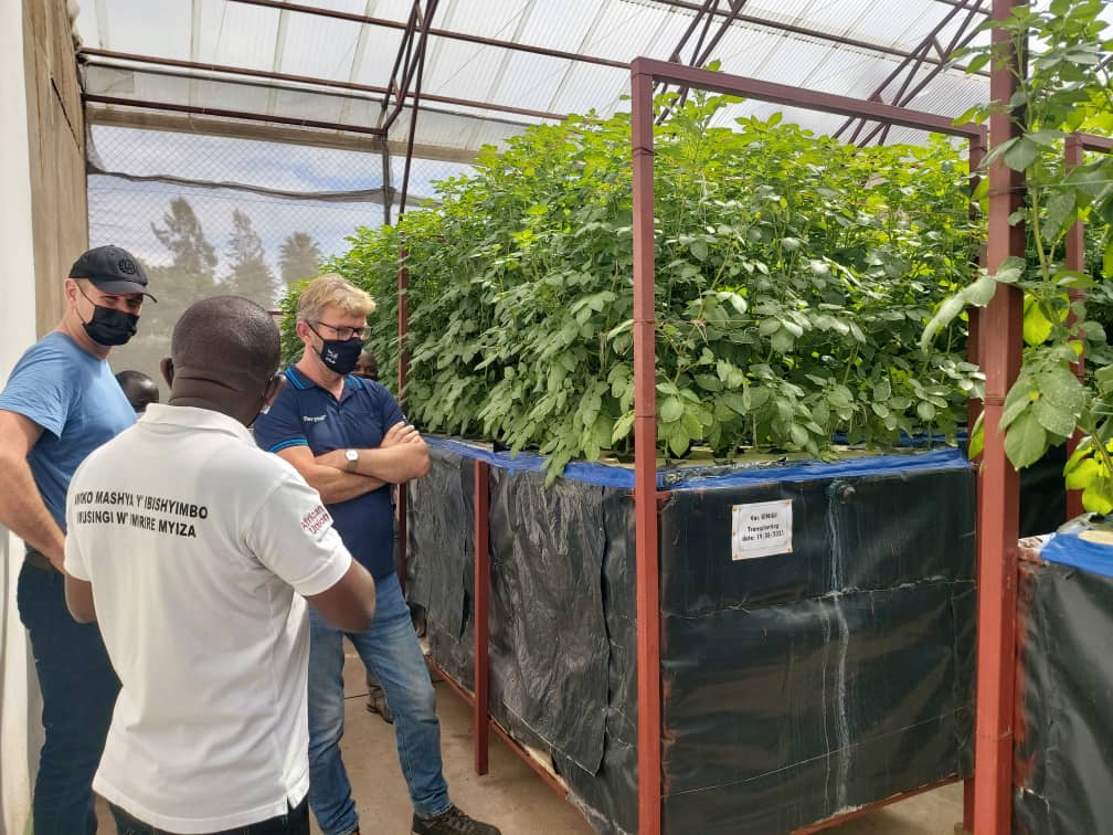 Farmers' Potato Academy (FPA) in Rwanda tweet media