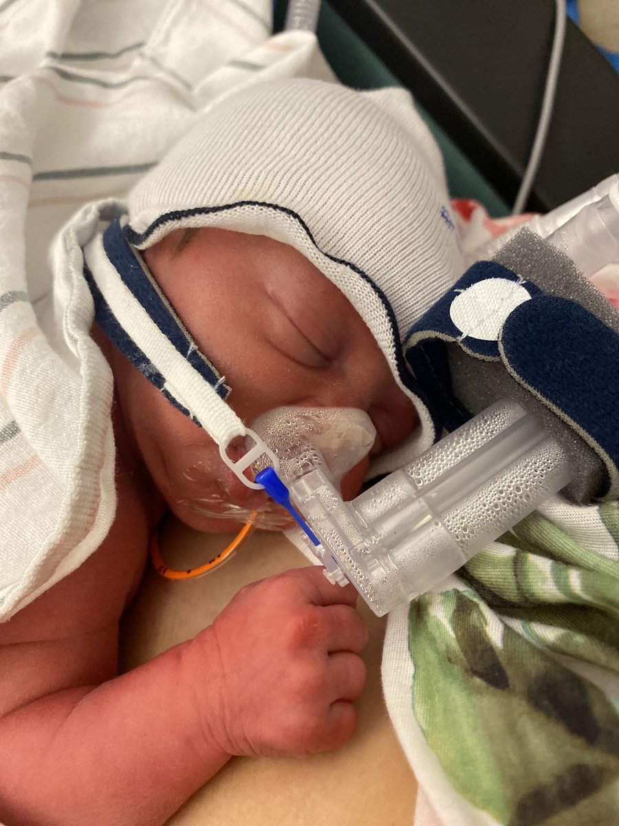 JeffMercer54's tweet photo. Signing day is always a celebration, yesterday was additionally special to our family. We welcomed a daughter, Grace, 4 lbs 14 oz. She’ll be in the NICU for a bit, she’s tough like her mom and will be home soon! Thankful for God’s blessings and for all the support we’ve received! https://t.co/5pxXYxxLex