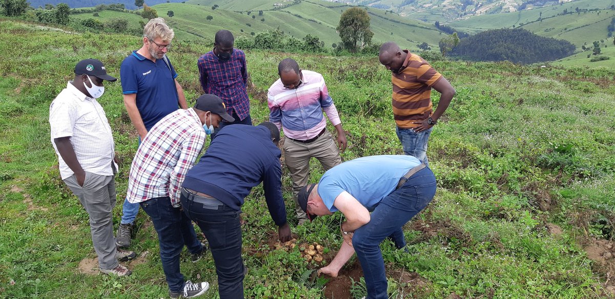 Farmers' Potato Academy (FPA) in Rwanda tweet media