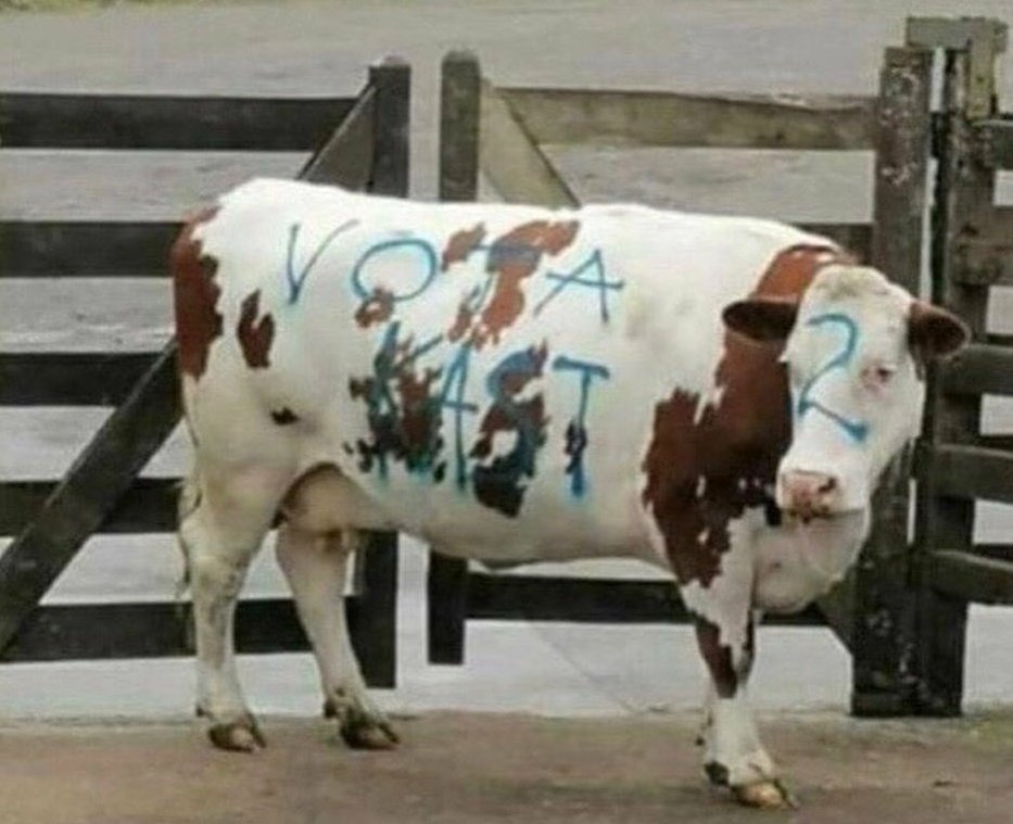 rod_herrera's tweet photo. Estas dos imágenes reafirman lo que viendo advirtiendo hace rato: El candidato es un peligro para la democracia, pero aun mas peligrosos son sus fanáticos que están desatados. https://t.co/ZNNXElOTlY
