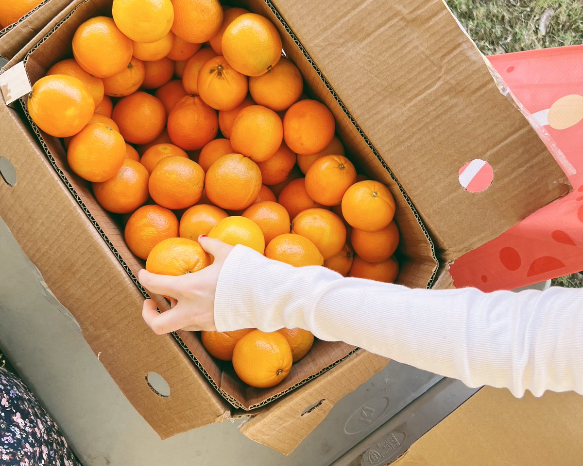 Baylor's tweet photo. STUDENTS: The Free Farmers Market is back!

Today until 3 p.m., stop by Fountain Mall for free fresh fruits &amp; vegetables –part of an effort to ensure BU students (particularly the food insecure) have accessible, nutritious food. https://t.co/7fHslhPdtz