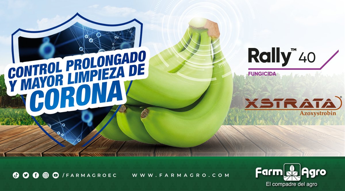 FarmagroEc's tweet photo. Contamos con nuestra combinación perfecta: #Rally y #Xstrata para un control prolongado y mayor limpieza de corona, la sinergia de estos dos productos aplicados con fumigadoras JACTO hacen la diferencia.

#ElCompadreDelAgro https://t.co/OaT8R11zrl