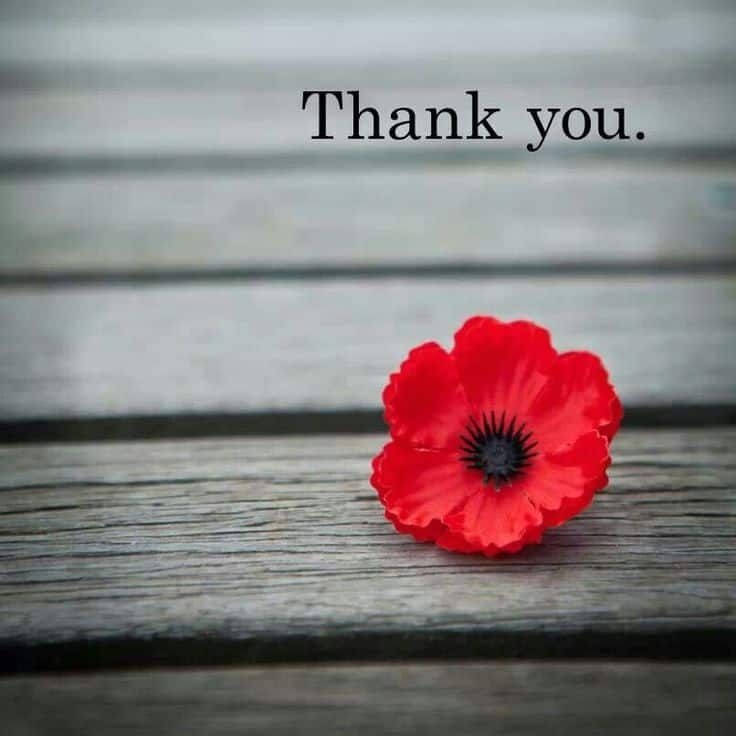 2874Iaff's tweet photo. This Remembrance Day, we slow down, reflect, honour, and thank all of those that have given so much. https://t.co/US7sWErkbG