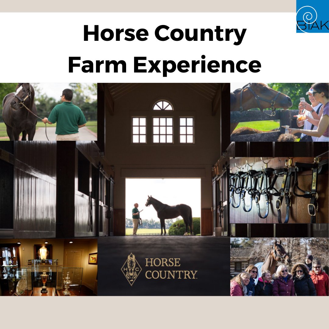 brainjallky's tweet photo. You could win a Horse Country Farm Experience! 🐴 

Don't miss your chance to win a personalized tour of two horse farms for four (4) people, courtesy of Horse Country. 

The BIAK Brain Ball is next Friday - so giddy-up and get your tickets!  https://t.co/FleFTZNX1G https://t.co/gffpouN28l