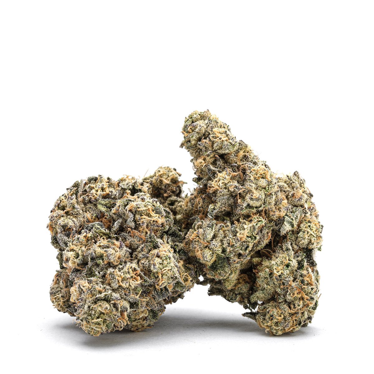 therealbudmail's tweet photo. Oso Fuego - Birthday Cake
Launching this Friday! (November 12th)
Don't miss out...these will go fast!
#cannabismom #osofuego #budmail #birthdaycake #hybrid #cannabis #tinnedcannabis #cannabisphotography #weedporn https://t.co/KSfyHnk15L