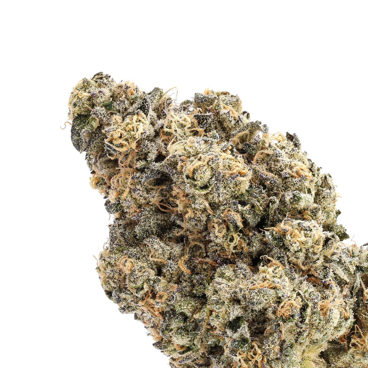therealbudmail's tweet photo. Oso Fuego - Birthday Cake
Launching this Friday! (November 12th)
Don't miss out...these will go fast!
#cannabismom #osofuego #budmail #birthdaycake #hybrid #cannabis #tinnedcannabis #cannabisphotography #weedporn https://t.co/KSfyHnk15L