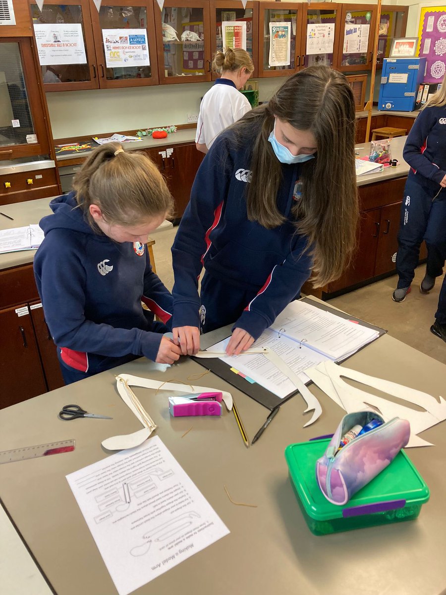 bhs_biodept's tweet photo. Year 9 students enjoyed making model arms today to show antagonistic muscle action  💪🏿 https://t.co/yxFmKpTo8r