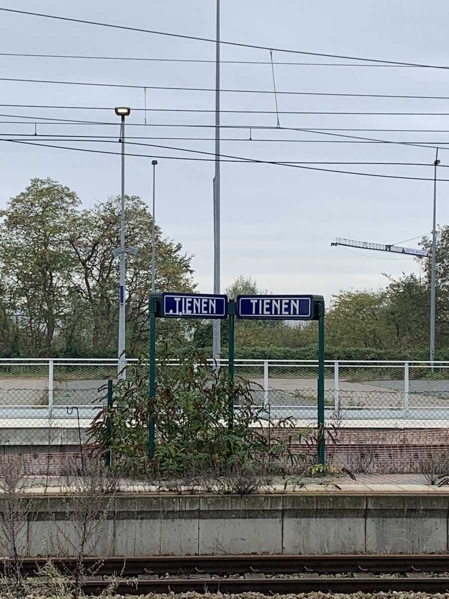 katrien boon tweet media