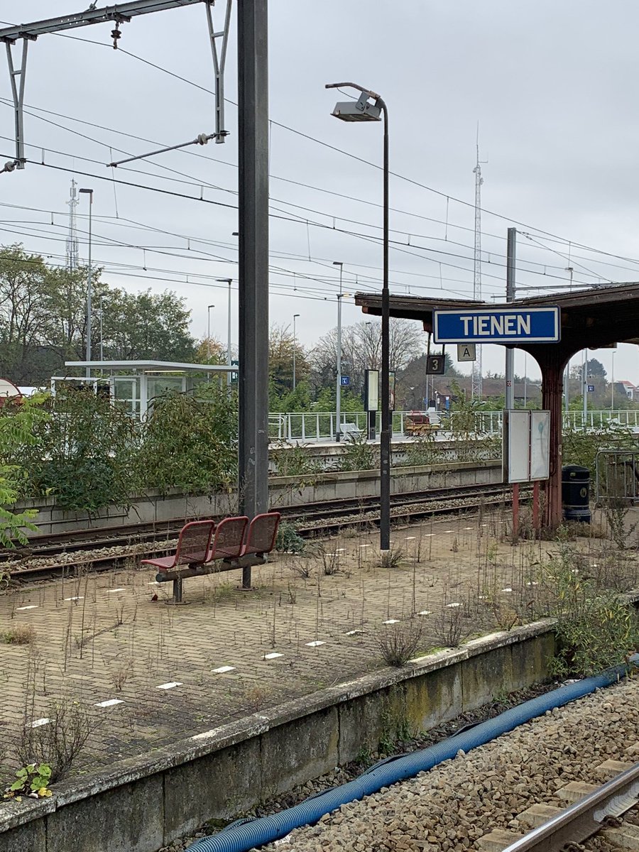 katrien boon tweet media