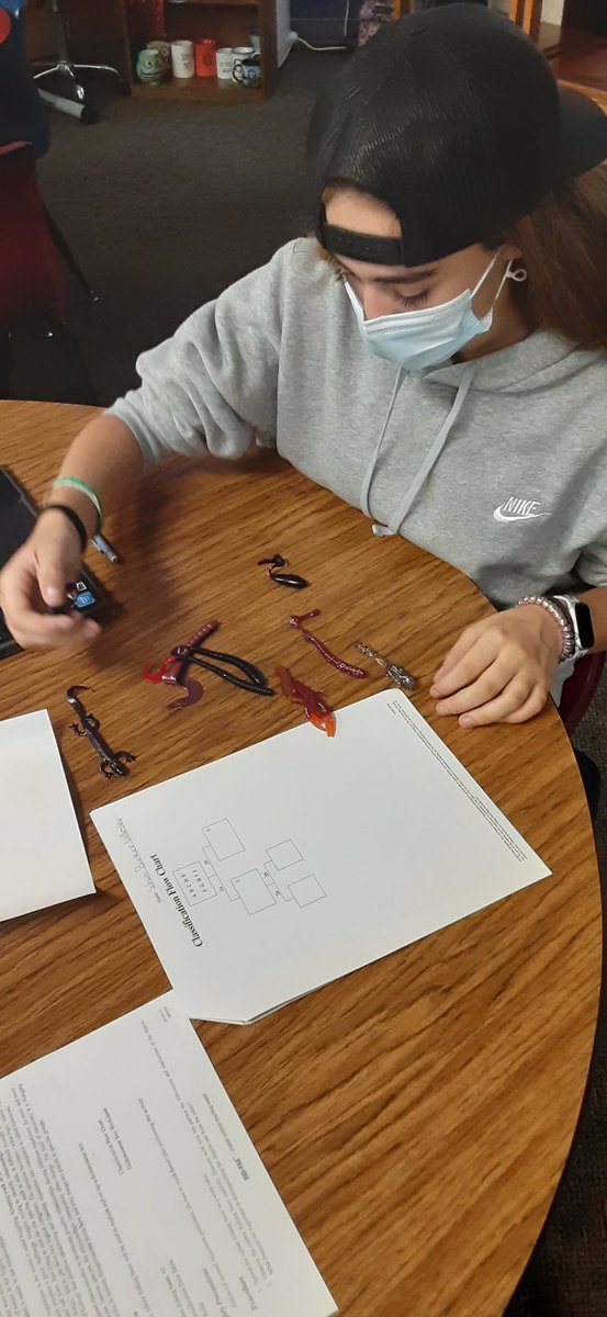 Christy Sandell tweet media