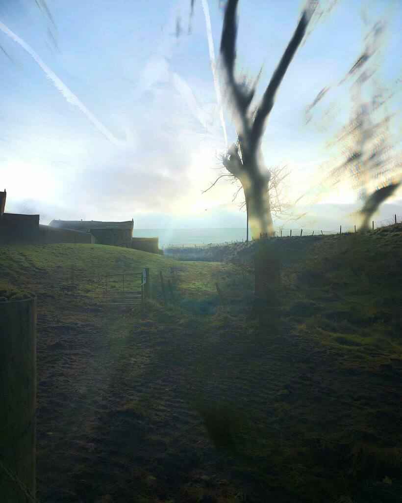 GhostsGavin's tweet photo. November ghosts: clear morning dreamers.
#spectral #haunted #dreaming #autumn #notquitethere #floating #landscapephotography #landscape #onthecusp #morning #conversationswithfriends https://t.co/RD7q1rNiE9