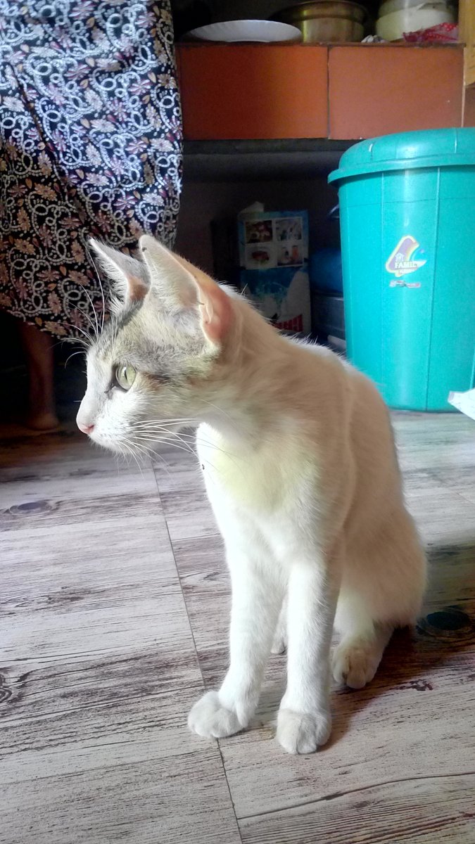 anurajan37's tweet image. #foucus