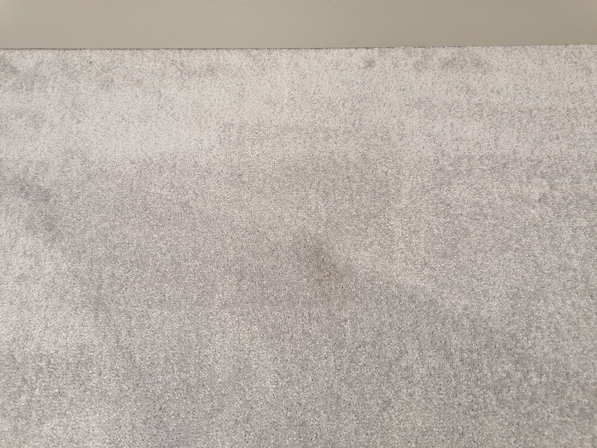 StuPedals's tweet photo. Update: except for whoever cut and rolled the carpet! Just rolled it out and it's got marks all over it including a big pale brown stain...😐 https://t.co/BVkbvzyaw1