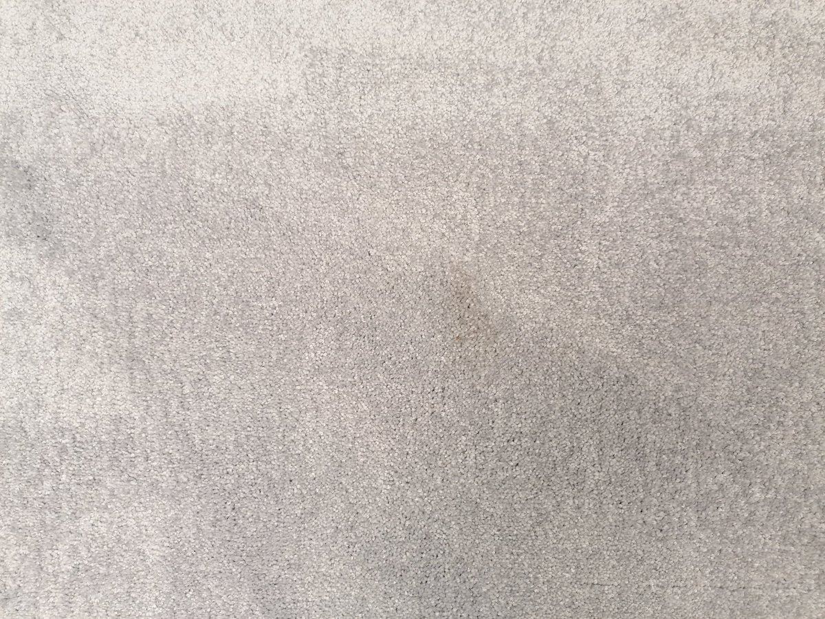StuPedals's tweet photo. Update: except for whoever cut and rolled the carpet! Just rolled it out and it's got marks all over it including a big pale brown stain...😐 https://t.co/BVkbvzyaw1