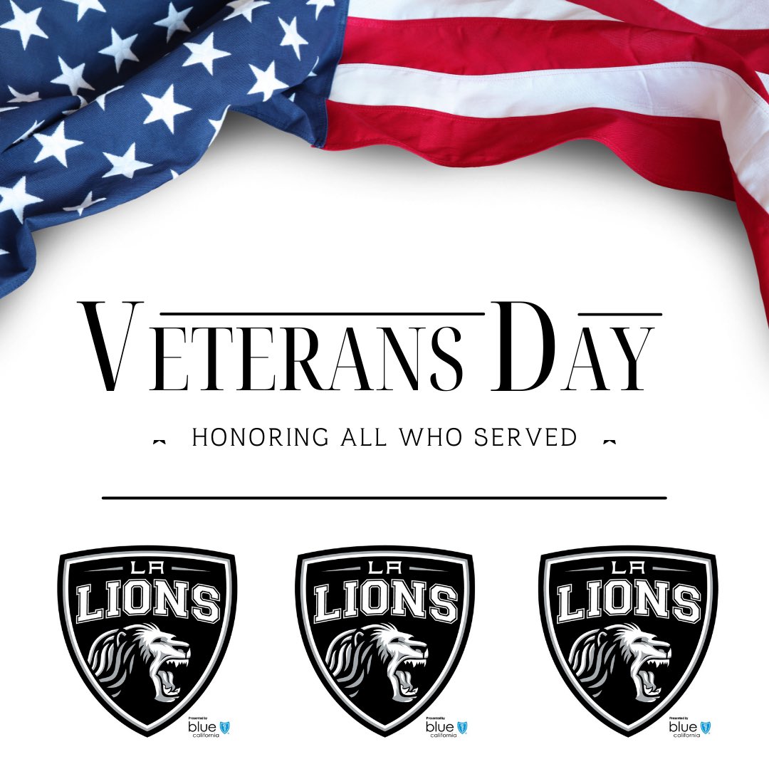 LALionsHockey's tweet photo. THANK YOU to all our brave & selfless veterans! We salute your service & sacrifice! ๐ ๐บ๐ธ @BlueShieldCA #blueshieldofca https://t.co/UntAiVq9Gy