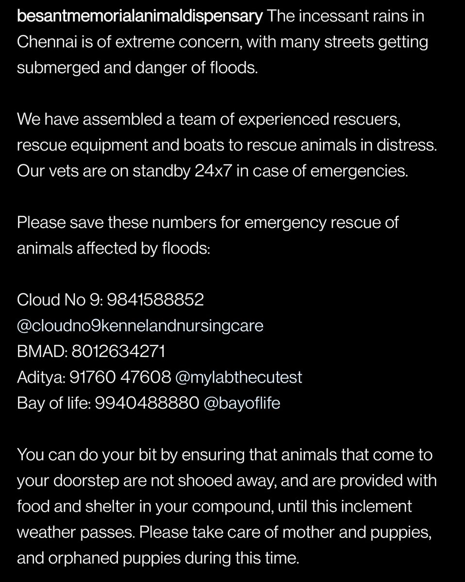 MV_CH11's tweet photo. #CHENNAI Resources in case you find #animals in need. 

#ChennaiRain #chennaifloods #ChennaiRains #HelpChennai
#ChennaiRains2021 https://t.co/XpaHEG40we