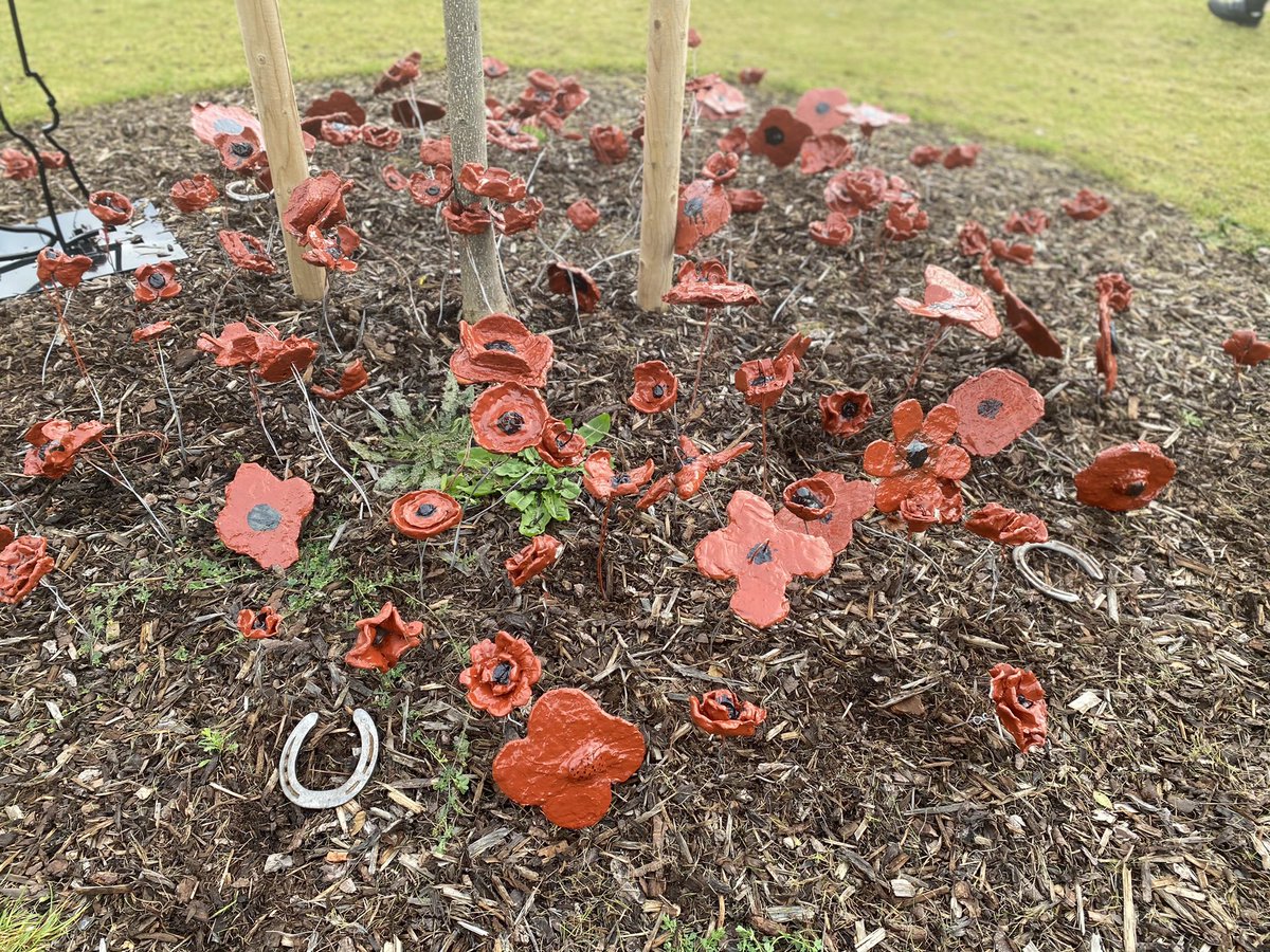 denisemburgess's tweet photo. REAL project outcomes- ceramic poppies designed and made by our year 5/6 children now placed out in our community to remember those who gave their lives for our country @EdTransform_UK @GreatDenhamPS https://t.co/w2LxQ482HF