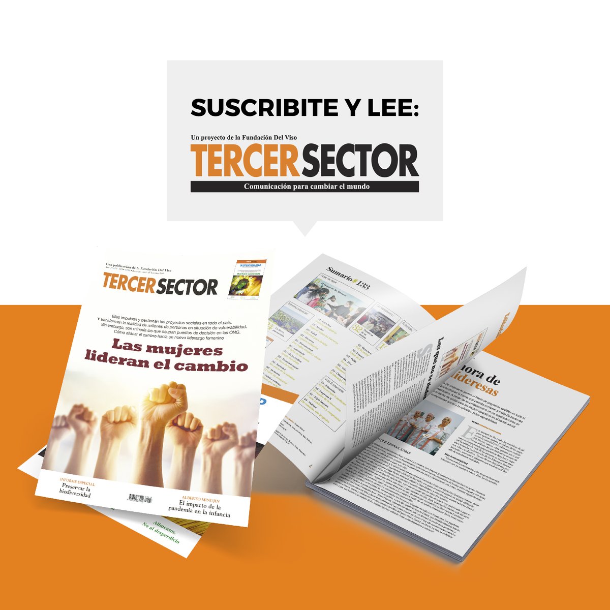 Revista Tercer Sector tweet media