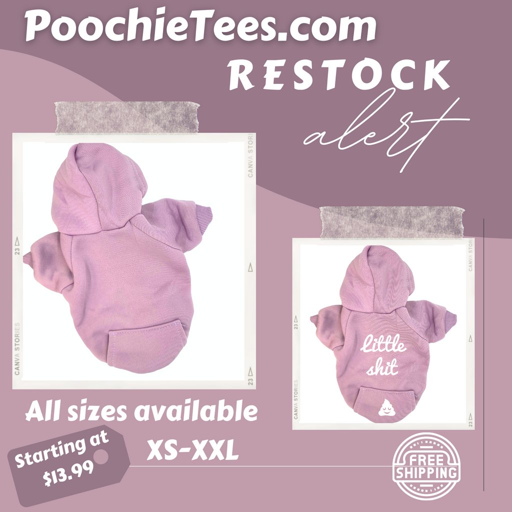 PoochieTees's tweet photo. 📢 Did some say RESTOCK!!!  Lavender Hoodies are BACK IN STOCK - Grab yours before they sell out.  

#dogs #doglover #puppy #pet #pup #puppies #doglife #ilovemydog #doggo #pets #lovedogs #doggy #cutedog #doglovers #dogjumper #doghoodies s https://t.co/pqK0nG3Qe3