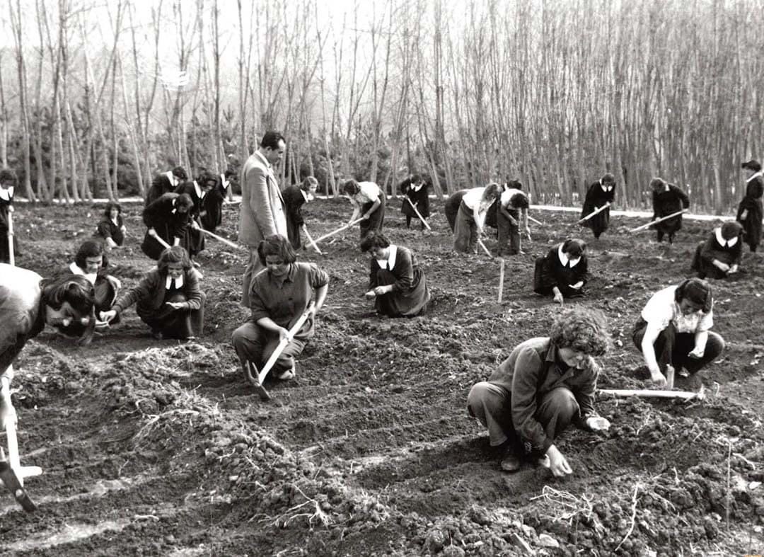 Köy Enstitüleri yaşasaydı...

Köy Enstitülerinin öyküsüne kısaca bir göz attık. Sonra da Köy Enstitüleri hakkında araştırmalarda bulunmuş isimlere kulak verdik. “Ne yapılabilir?”, “Neden yapılmıyor?” sorularının yanıtlarını aradık.