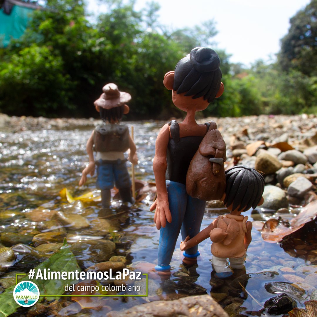 CParamillo's tweet photo. 🎥Recreamos nuestra historia de paz junto al duro de la plastilina @altereddie y la #ERAdeComunicación de @pasocolombia. Ahora pueden ver el fruto de nuestro trabajo y apoyar nuestra campaña 🇨🇴 #AlimentemosLaPaz desde 1 dólar en adelante o compartiéndola: https://t.co/Gw7znKkSaP https://t.co/k8V8JNZE0d