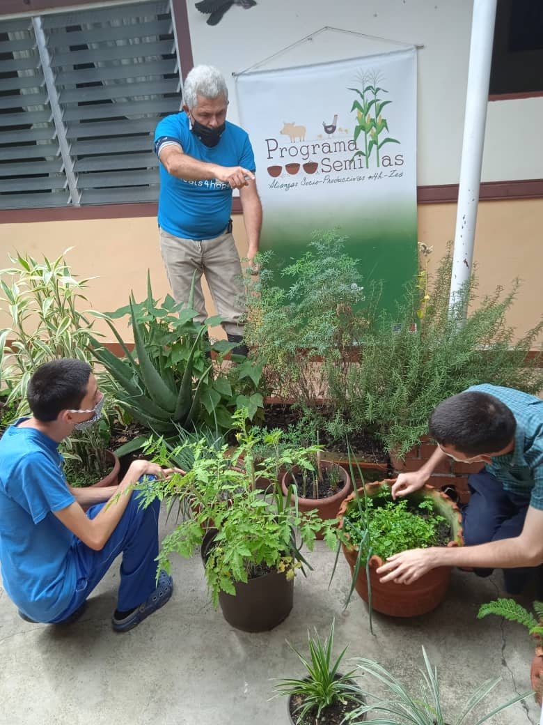 meals4hope's tweet photo. en el 'proyecto semillas' todos siembran, aprenden, mantienen, cosechan ... forman parte
hoy, trabajando con muchachos con necesidades especiales

(agradecidos a la @EmbaFrancia
por el apoyo que hace esto posible) 
#producción#alimentación#participación#inclusión#comunidad https://t.co/hgTBO6MX9z