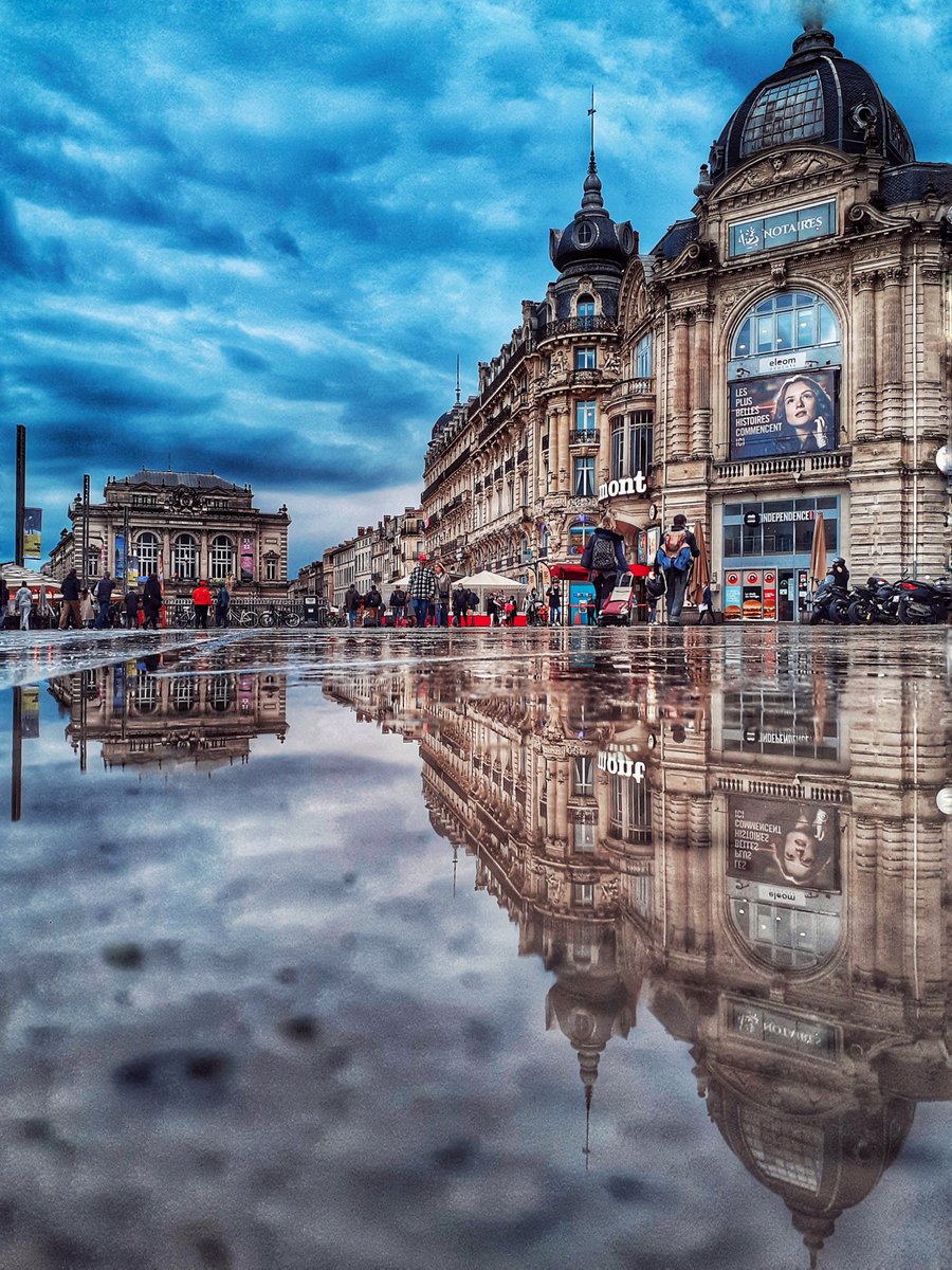 ArthurLansoneur's tweet photo. Pluie d'hier... ☔
#Montpellier https://t.co/ekmJq3OAVC