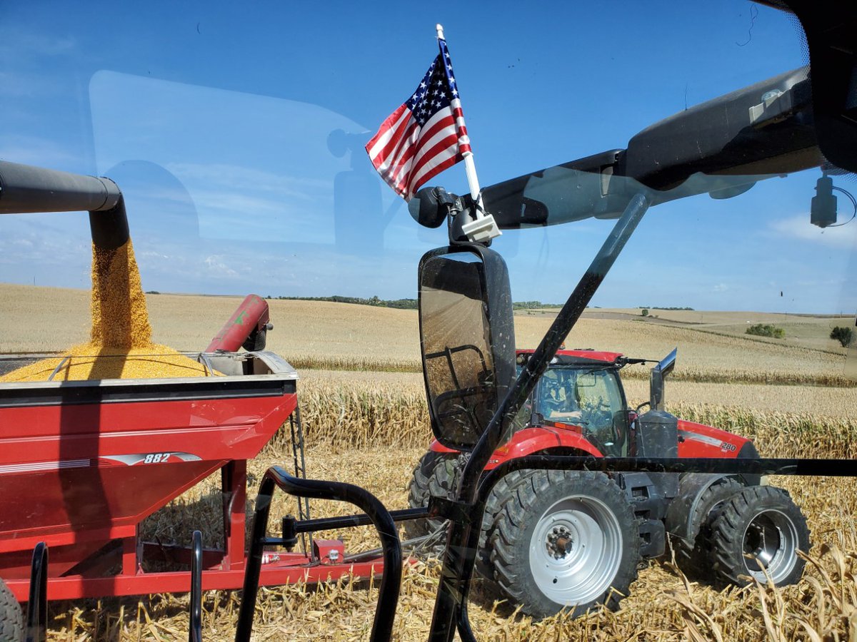 strong_field's tweet photo. Happy Veterans Day 🇺🇸 

Today we remember and honor all who served, thank you for your service! https://t.co/wwR2gPpQzq