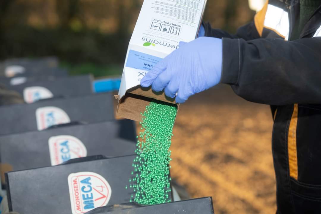 GermainsUKBeet's tweet photo. Here's looking at last year's drilling - are you ready for the 2021-22 #sugarbeet campaign with #Xbeet #enrich200? #farming #agriculture https://t.co/bNLswXJP2z