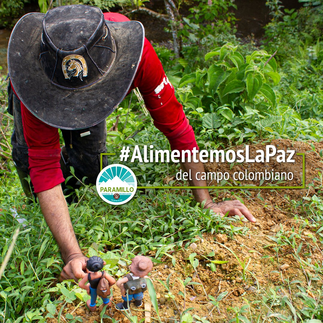 CParamillo's tweet photo. 🎥Recreamos nuestra historia de paz junto al duro de la plastilina @altereddie y la #ERAdeComunicación de @pasocolombia. Ahora pueden ver el fruto de nuestro trabajo y apoyar nuestra campaña 🇨🇴 #AlimentemosLaPaz desde 1 dólar en adelante o compartiéndola: https://t.co/Gw7znKkSaP https://t.co/k8V8JNZE0d