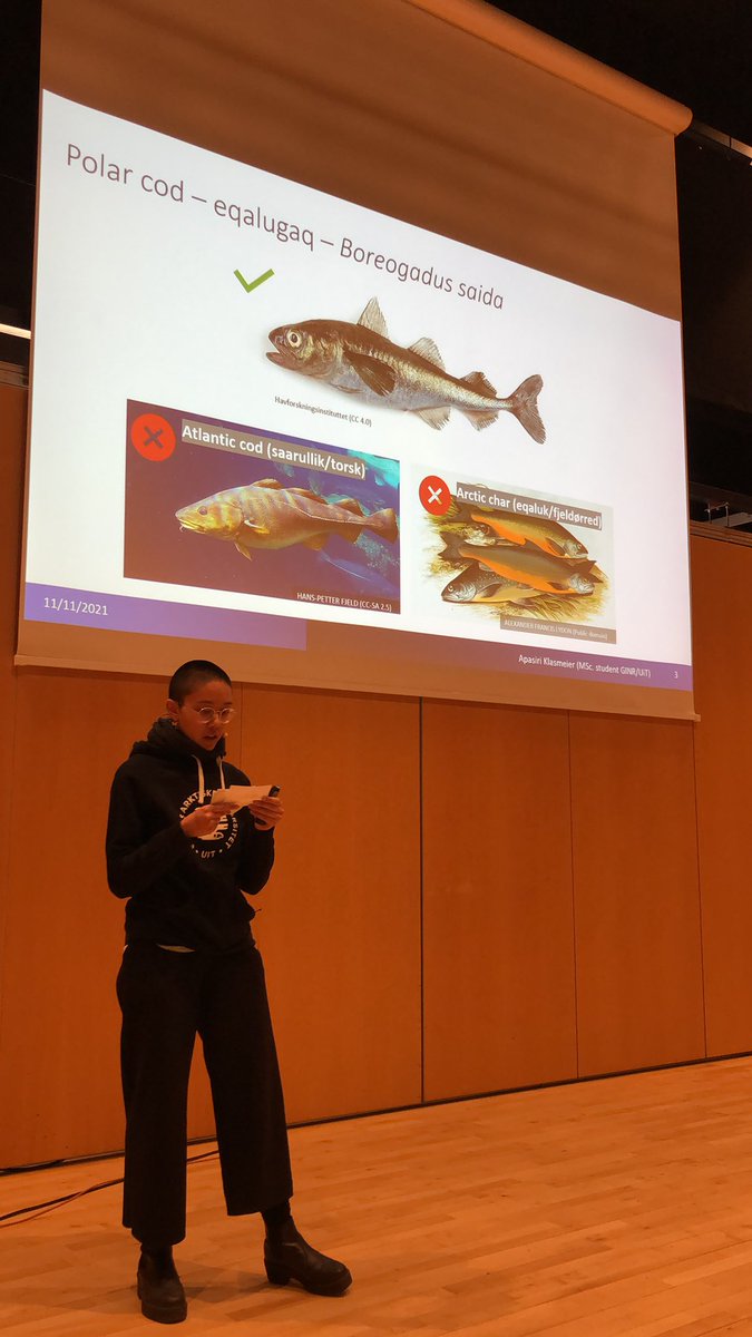 The Research Festival has just started at Katuaq! The next hour we’re hearing from the next generation of - already very talented - researchers! 👏👏👏 Come by, it’s for free and there are presentations until 20.00 today! Science cinema from 20.00 - 22.00.🎥#greenlandscienceweek