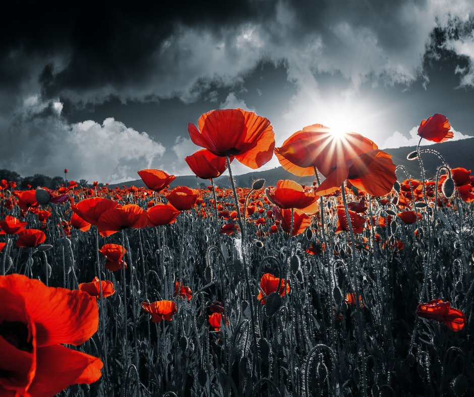 Landcor Data Corp. tweet media