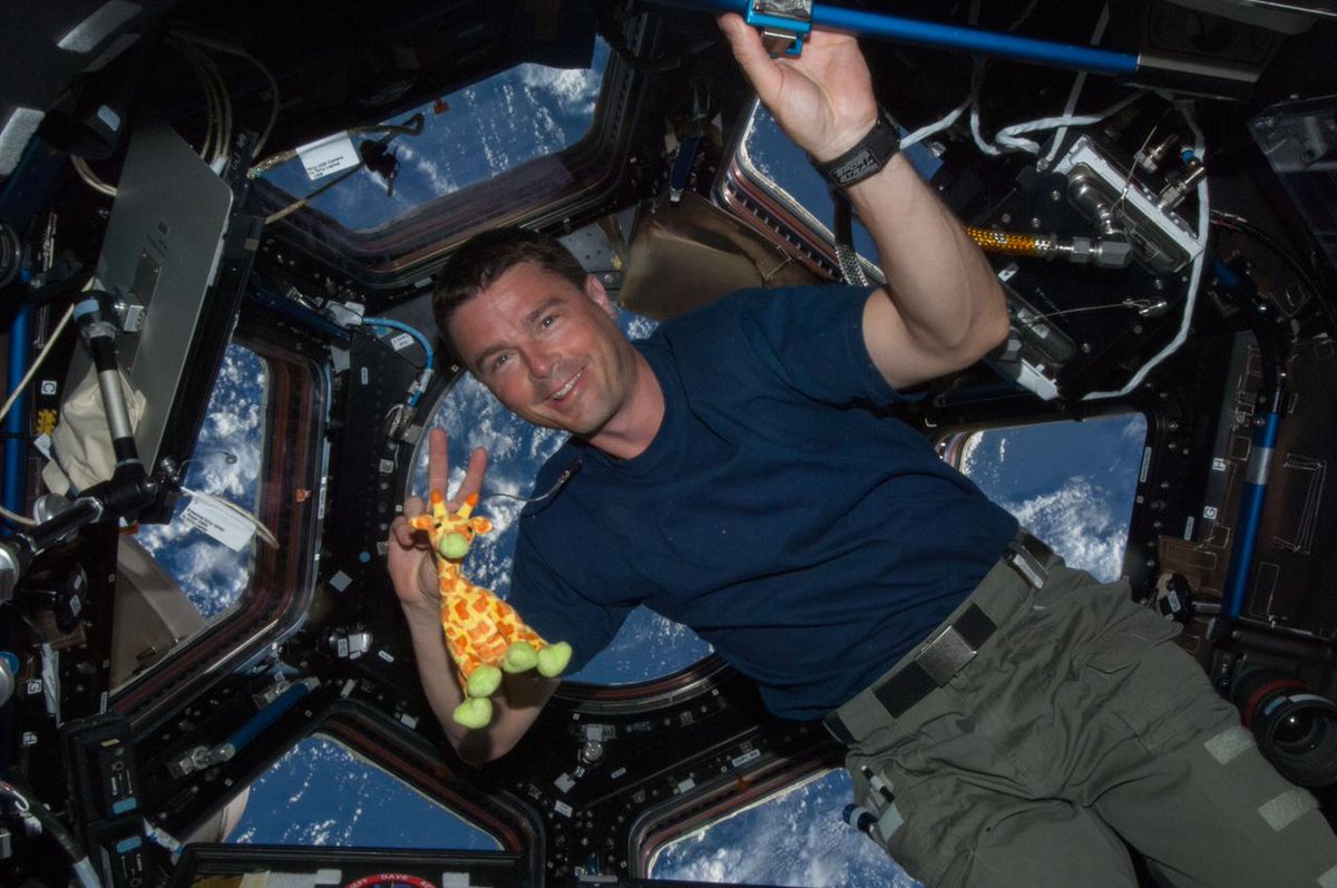 Expedition 40 Flight Engineer Gregory "Reid" Wiseman enjoys the view from the @Space_Station's Cupola with Giraffiti, a "zero-G indicator" his daughters gave him!