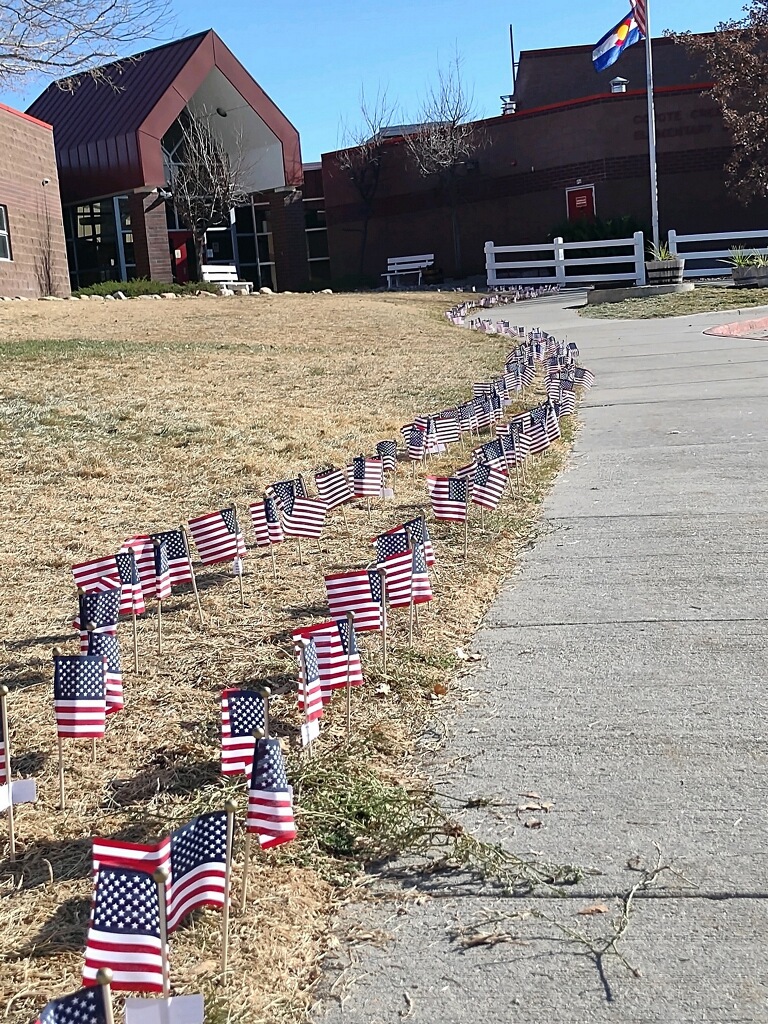 CCECoyote's tweet photo. To all those that have and are serving our great country - thank you! Students at CCE placed flags with names all around the school. https://t.co/uJusnJtZuy