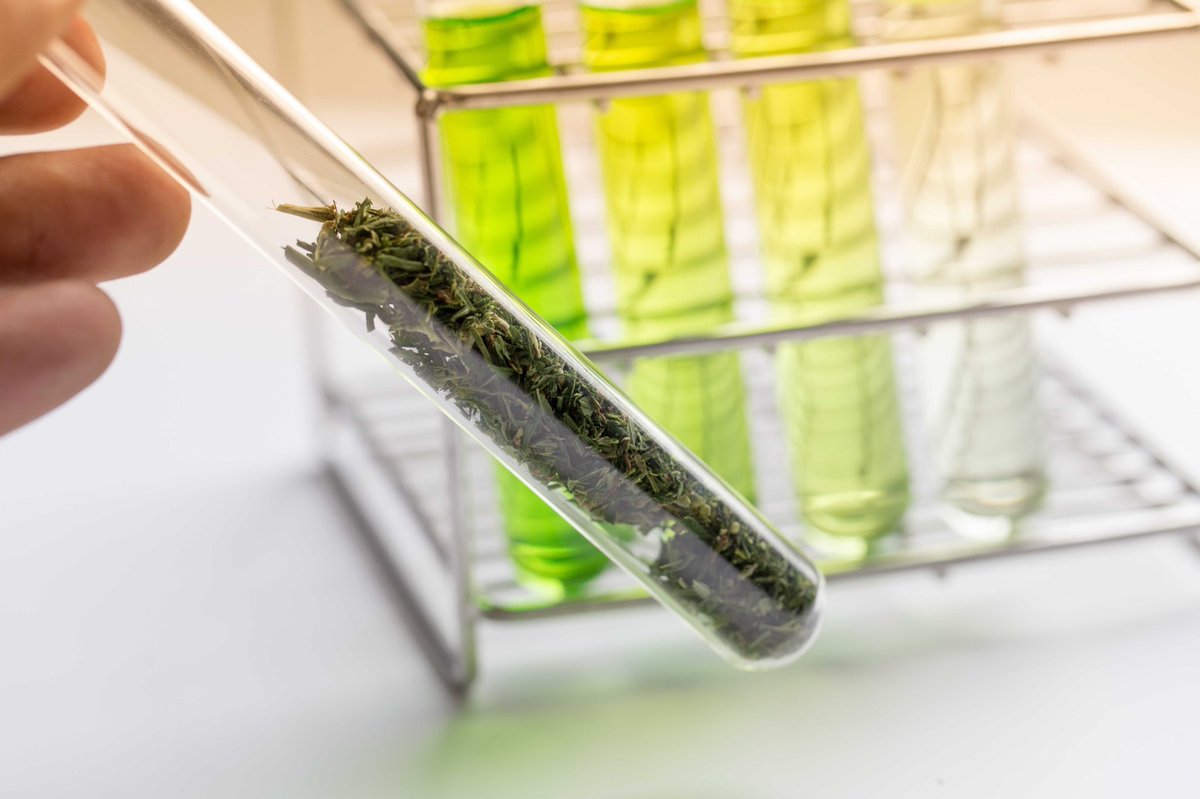 TheSTEMTimes's tweet photo. Did you know that plants can now be used for producing life-saving vaccines? Read our latest post to find out how this technology works.
https://t.co/bujEzClW0e

#scicomm #plantvaccines https://t.co/4vrNESb8aj