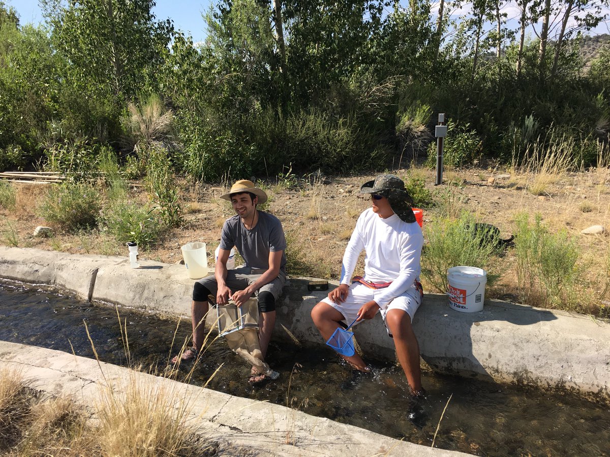 Parsa Saffarinia tweet media