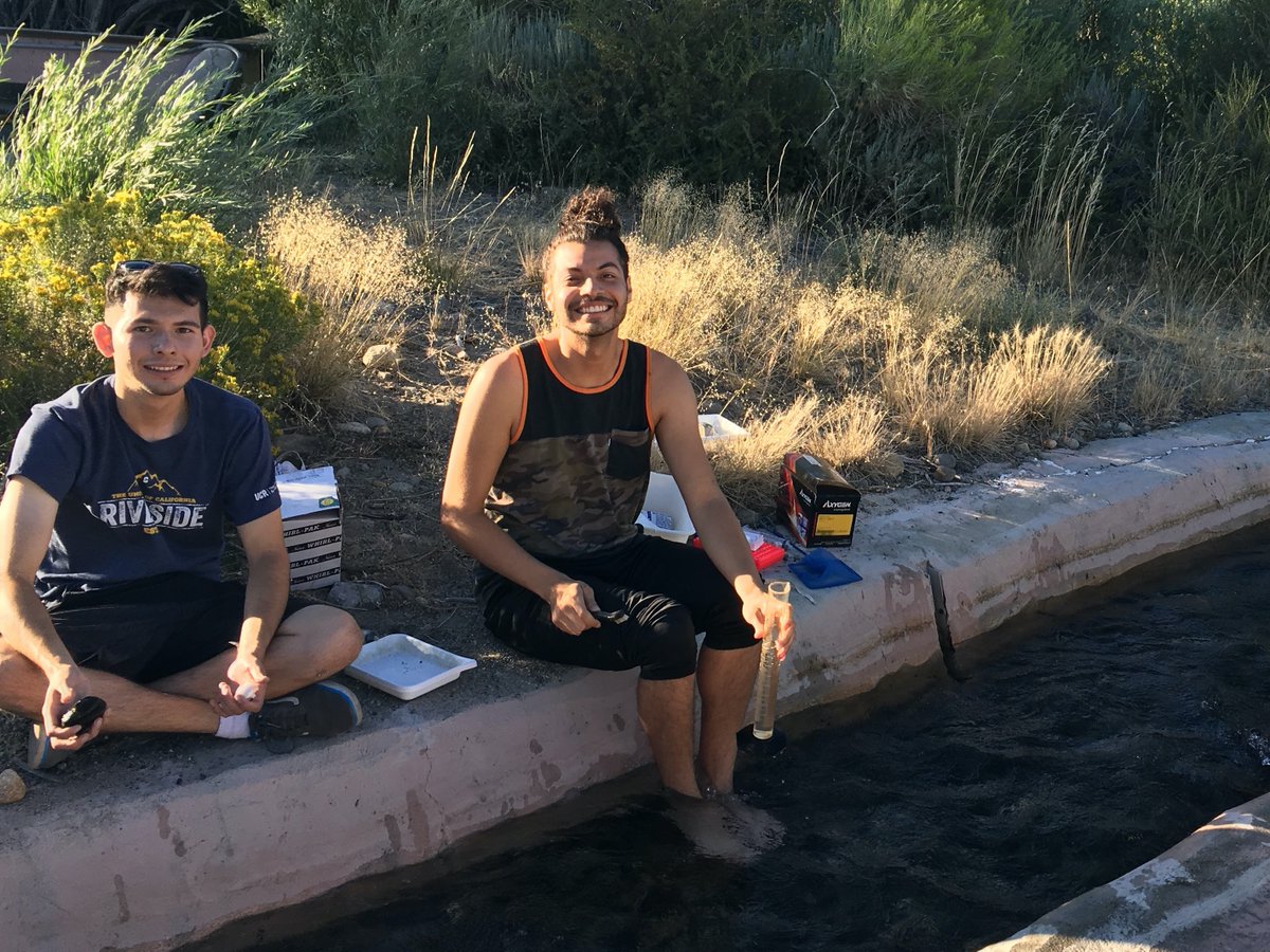 Parsa Saffarinia tweet media