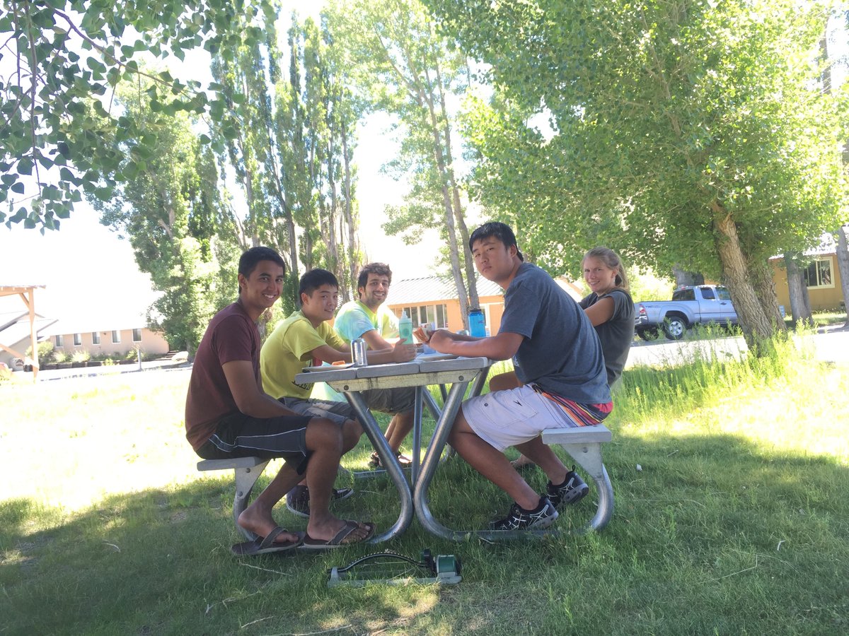 Parsa Saffarinia tweet media