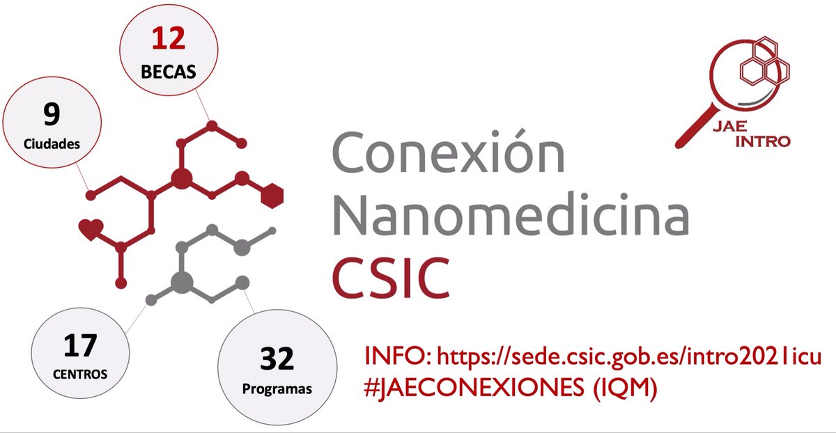 Bionanosurf (@bionanosurf) on Twitter photo Ojito! Os habéis fijado ya en las Becas JAEintro de la Conexión Nanomedicina <a href="/CSIC/">CSIC</a> ???
#JAECONEXIONES (InstitutoQuimicaMedica) Ofertamos 3 programas de formación asociados a <a href="/Dr_SGM/">Scott G. Mitchell</a> <a href="/JesusMdelaFuen1/">Jesus M de la Fuente</a> y @Valerit98128615
sede.csic.gob.es/intro2021icu Ojito! Os habéis fijado ya en las Becas JAEintro de la Conexión Nanomedicina <a href="/CSIC/">CSIC</a> ???
#JAECONEXIONES (InstitutoQuimicaMedica) Ofertamos 3 programas de formación asociados a <a href="/Dr_SGM/">Scott G. Mitchell</a> <a href="/JesusMdelaFuen1/">Jesus M de la Fuente</a> y @Valerit98128615
sede.csic.gob.es/intro2021icu
