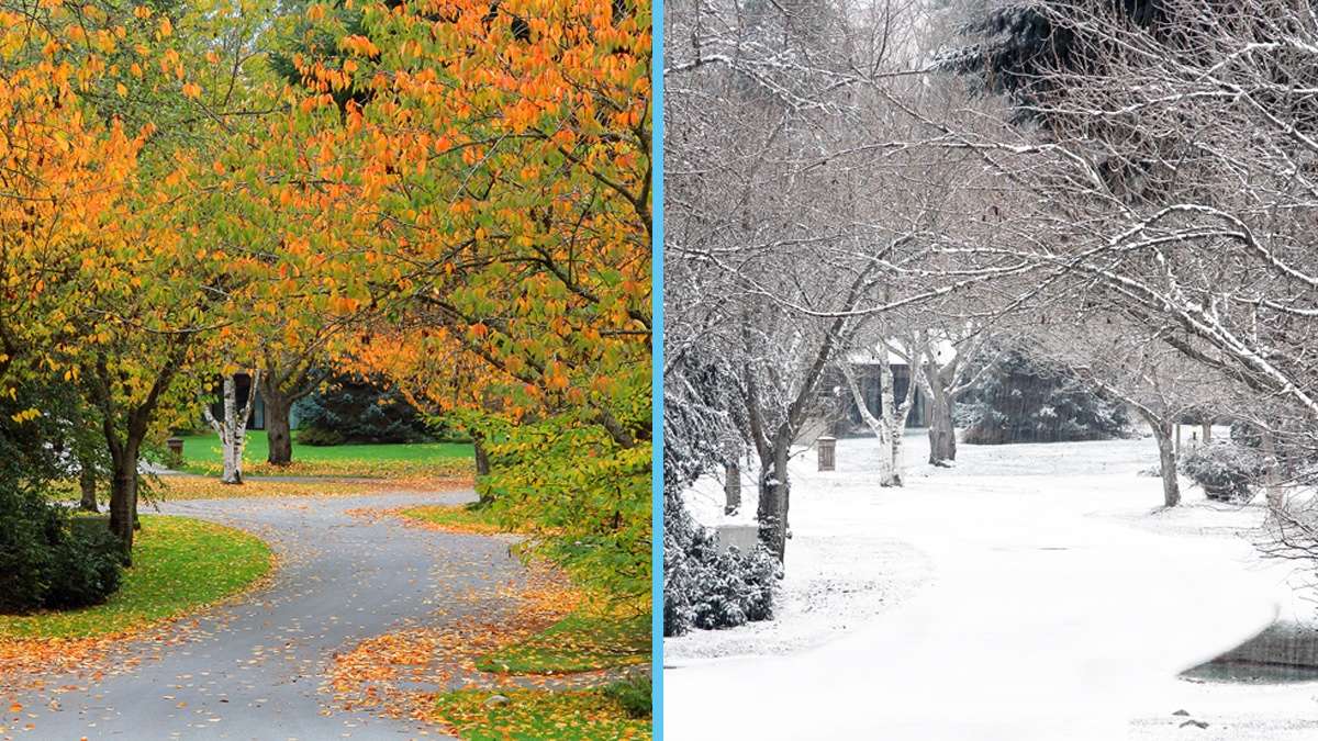 RoadSolutions's tweet photo. While Fall is quickly turning to Winter you can turn to Road Solutions for an organic approach to snow and ice removal this year.
https://t.co/dNZdrdVwti https://t.co/g8XI6a8G7I