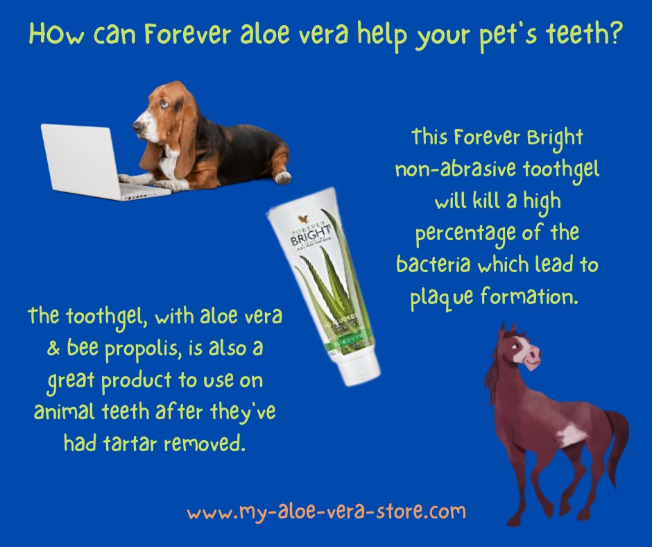 Aloetwit's tweet photo. Pets' teeth can be a problem - but not any more, thanks to fab Forever Bright toothgel!! 😍 🥰😍 #aloe #teeth #healthierhappenstogether #animals https://t.co/fJqd4hRsvk