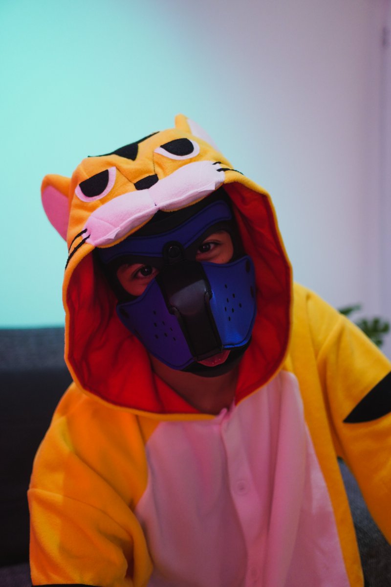 TigyPup's tweet photo. I think my tiger kigu is cute 🐯 https://t.co/UxS9oArwNZ