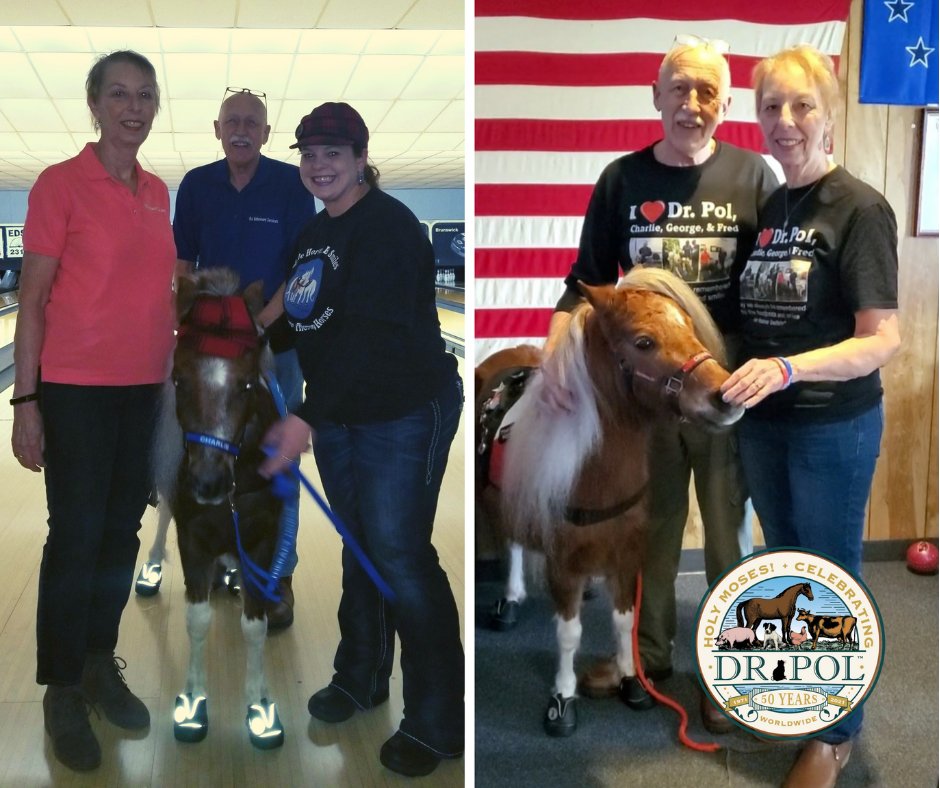 DrPol's tweet photo. Throwing it back to when we horsed around for a great cause 🐴 Don't forget to thank a veteran today! #TBT #DrPol

📸: Little Horses Big Smiles Inc; @RfroeseRf https://t.co/DO0ObgBGQ2