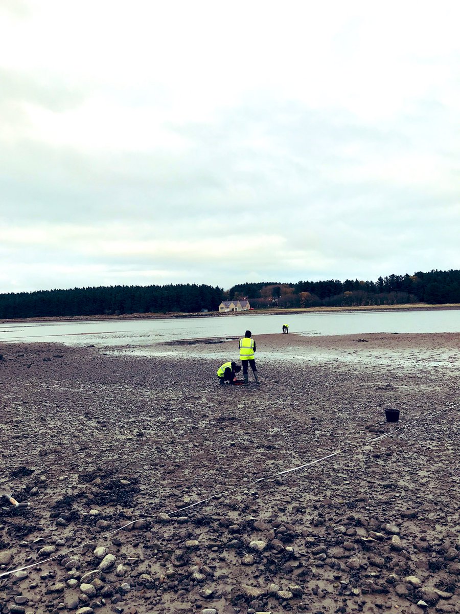 Dr Anneli Lofstedt (@anneli_lof01) on Twitter photo Great day on the Ythan Estuary with the marine ecology <a href="/UoABioSci/">School of Biological Sciences</a> students estimating population densities of macrofauna and meiofauna #natureonourdoorstep Great day on the Ythan Estuary with the marine ecology <a href="/UoABioSci/">School of Biological Sciences</a> students estimating population densities of macrofauna and meiofauna #natureonourdoorstep