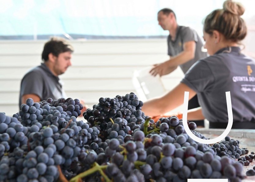 wine_alle's tweet photo. Quinta do Paral was revitalized in August 2017, when businessman Dieter Morszeck acquired 85 ha of land in Alentejo.
“To be able to show some of this land in a bottle of wine to all lovers of divine nectar, it's a very happy coincidence.”

#winetourism #winescape #partnership https://t.co/TtbwnhTvg1