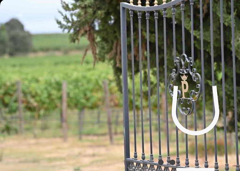 wine_alle's tweet photo. Quinta do Paral was revitalized in August 2017, when businessman Dieter Morszeck acquired 85 ha of land in Alentejo.
“To be able to show some of this land in a bottle of wine to all lovers of divine nectar, it's a very happy coincidence.”

#winetourism #winescape #partnership https://t.co/TtbwnhTvg1